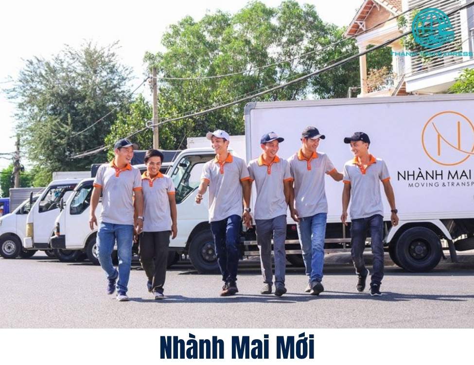 Nhành Mai Mới