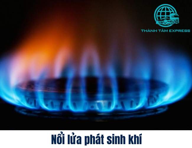 Nguyên tắc về nhà mới