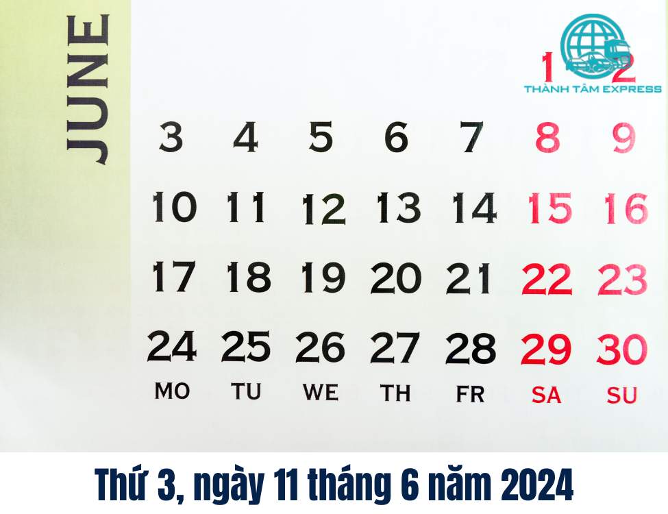 Thứ 3, ngày 11 tháng 6 năm 2024