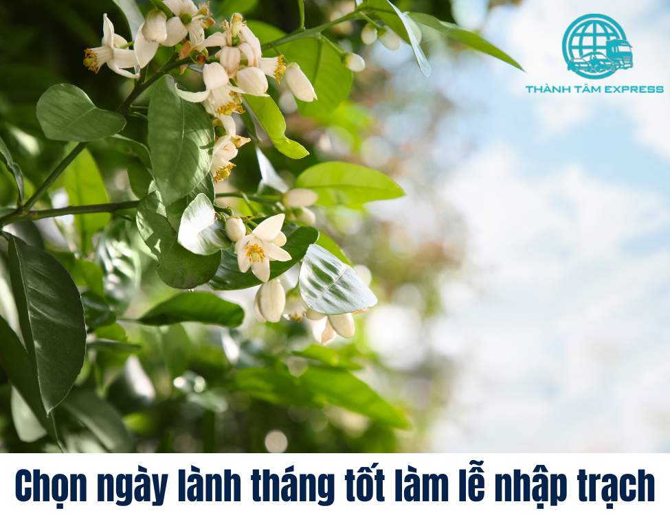 Tự cúng nhập trạch