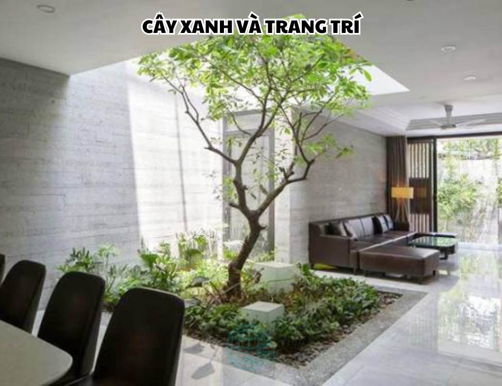 Cây xanh và trang trí
